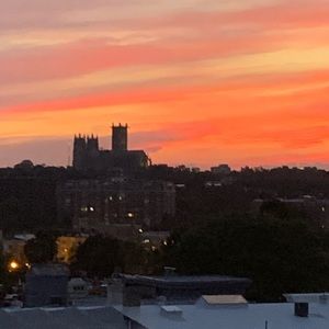 Meet your Posher, Lina